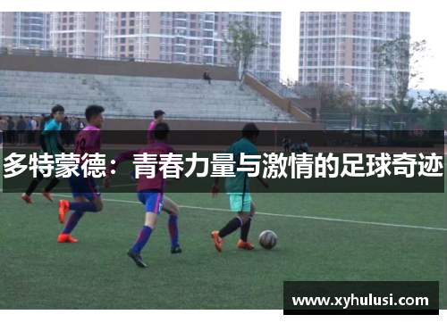 多特蒙德：青春力量与激情的足球奇迹