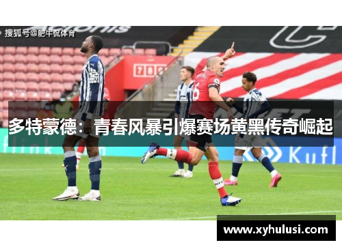 多特蒙德：青春风暴引爆赛场黄黑传奇崛起