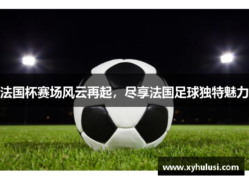 法国杯赛场风云再起，尽享法国足球独特魅力