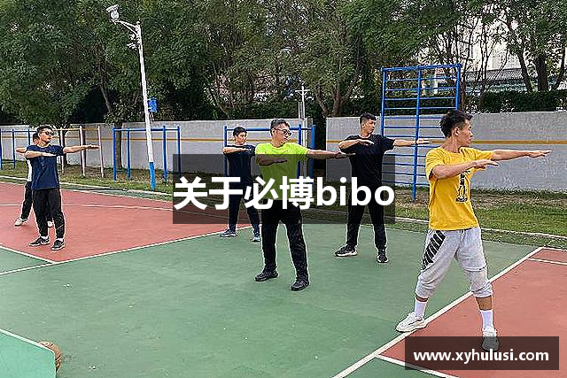 关于必博bibo